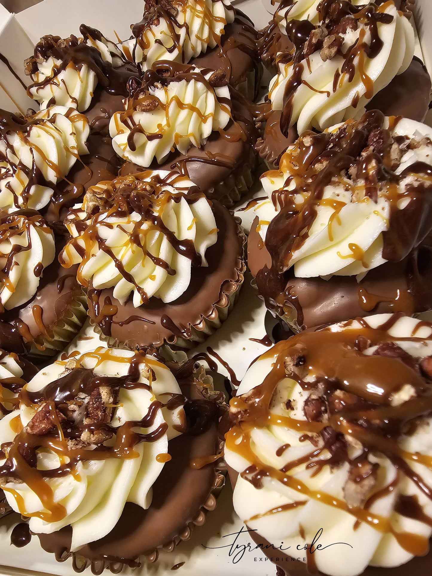 TURTLE CHEESECAKE